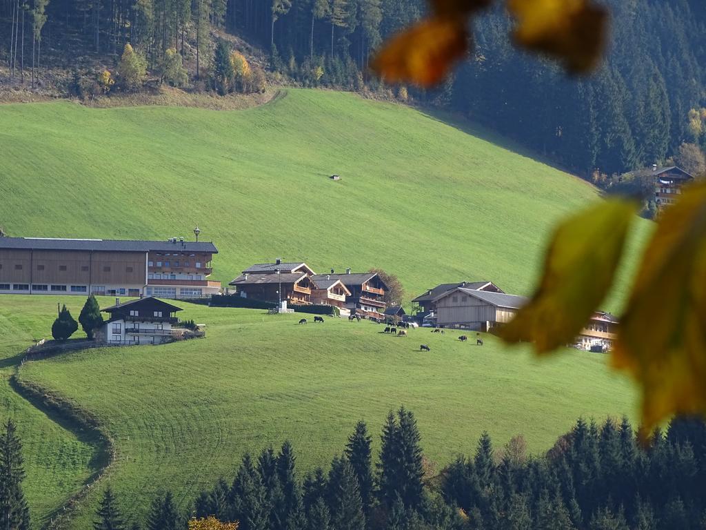 Anna'S Appartement Alpbach Eksteriør billede