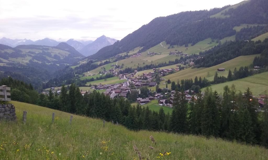 Anna'S Appartement Alpbach Eksteriør billede