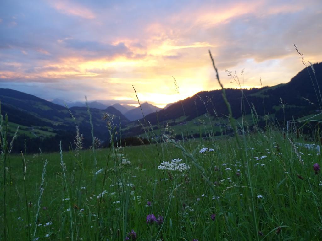 Anna'S Appartement Alpbach Eksteriør billede