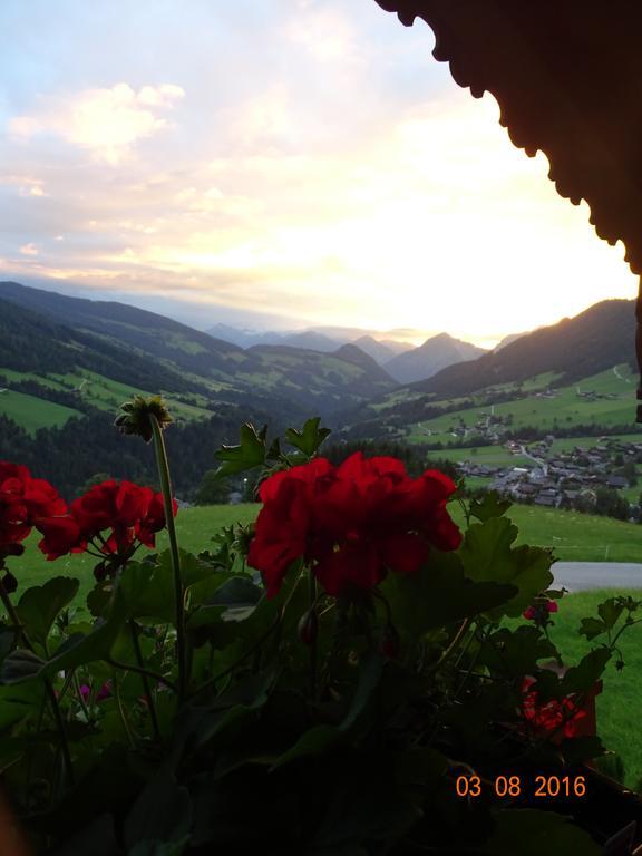 Anna'S Appartement Alpbach Eksteriør billede