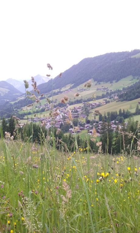 Anna'S Appartement Alpbach Eksteriør billede